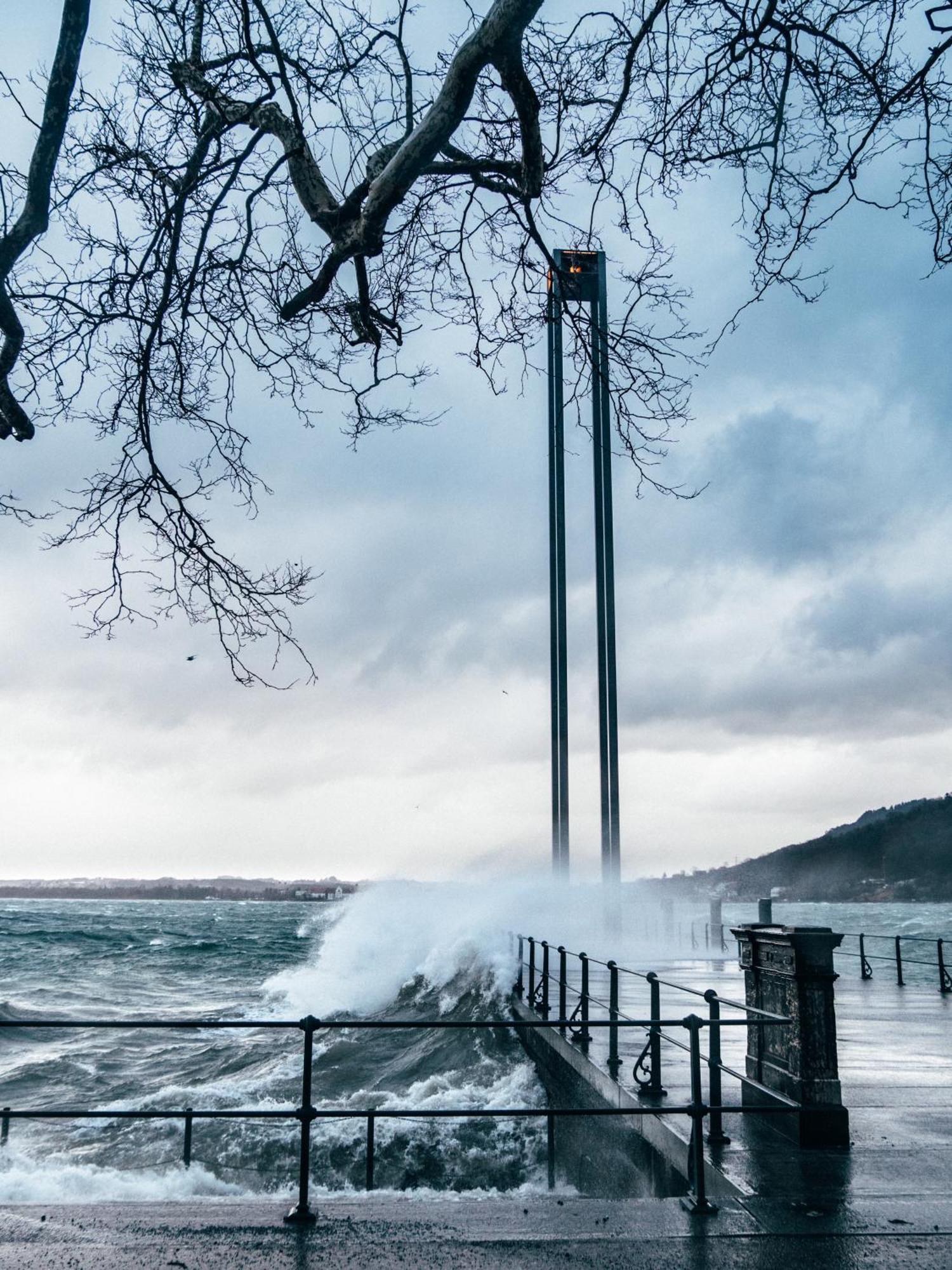 Seeblick Bregenz - Mit Parkgarage المظهر الخارجي الصورة