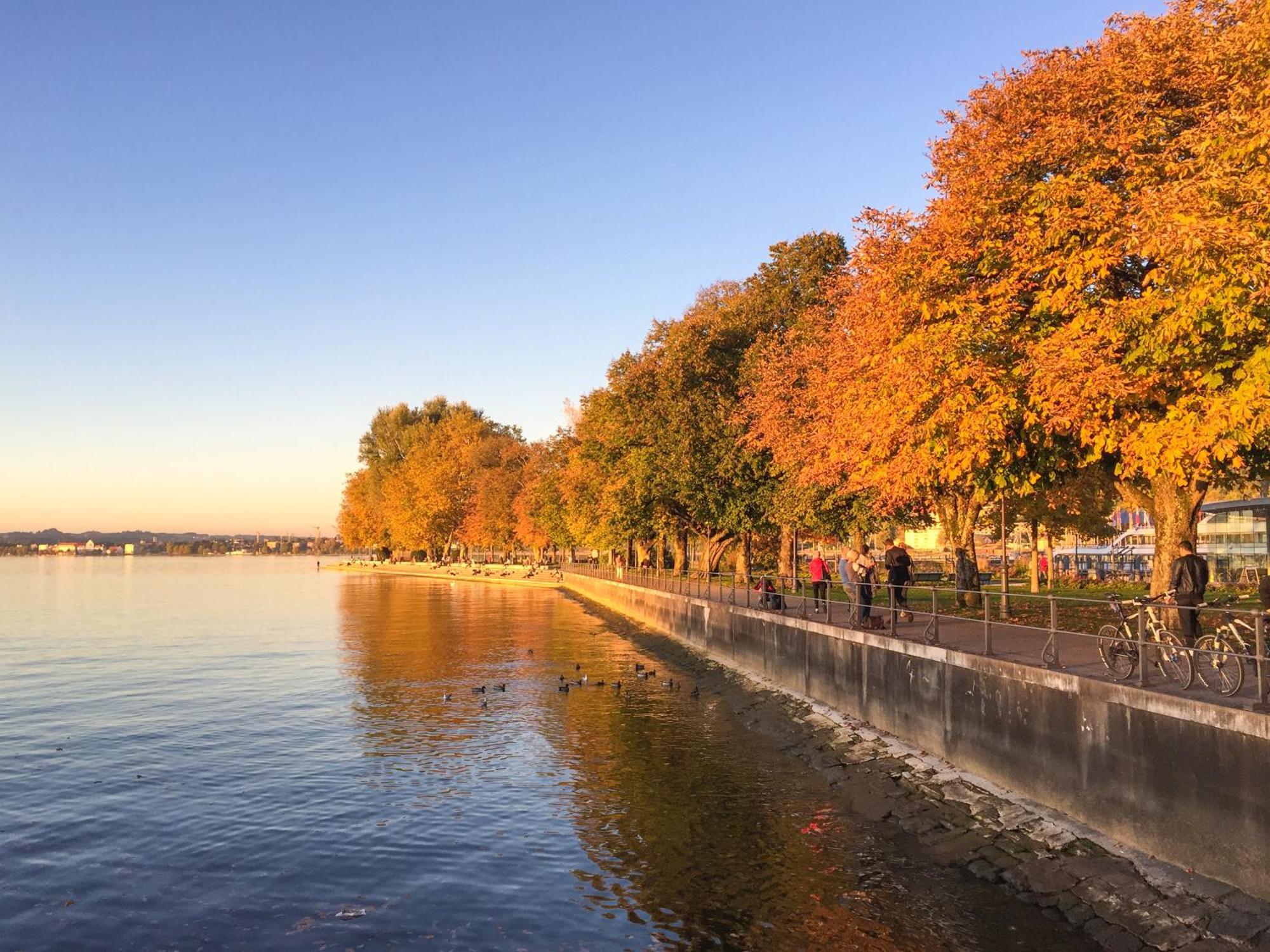 Seeblick Bregenz - Mit Parkgarage المظهر الخارجي الصورة